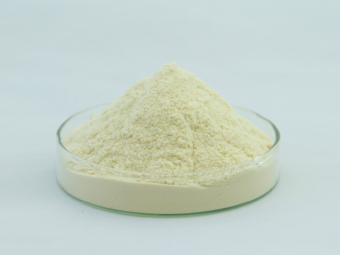 Natural Vitamin E Powder 30%