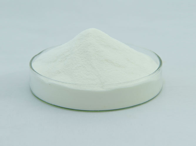 DHA Powder (Fish oil)